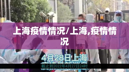 上海疫情情况/上海,疫情情况 上海疫情情况/上海,疫情情况