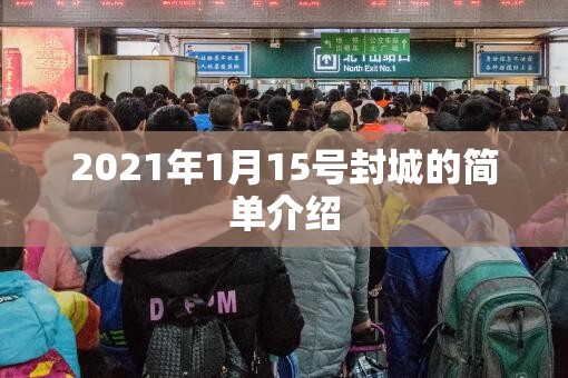 2021年1月15号封城的简单介绍