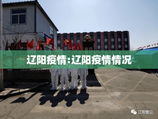 辽阳疫情:辽阳疫情情况