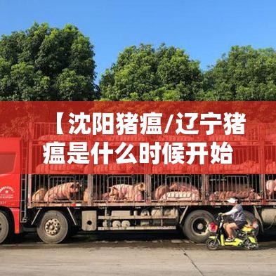 【沈阳猪瘟/辽宁猪瘟是什么时候开始的】