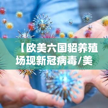 【欧美六国貂养殖场现新冠病毒/美国超过15万只貂死于新冠病毒】