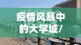 疫情风暴中的大学城/疫情风暴中的大学城是哪里